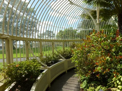 5 Factors to Consider for Buying a Small Greenhouse